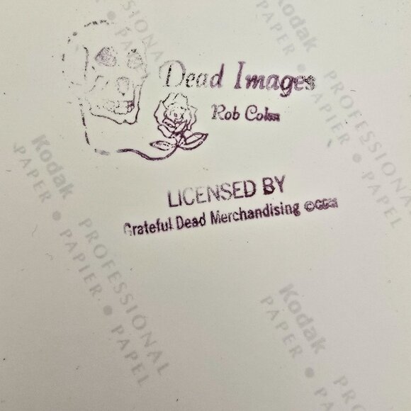 Phil Lesh Grateful Dead Licensed Photo Print By Rob Cole - Picture 2 of 8